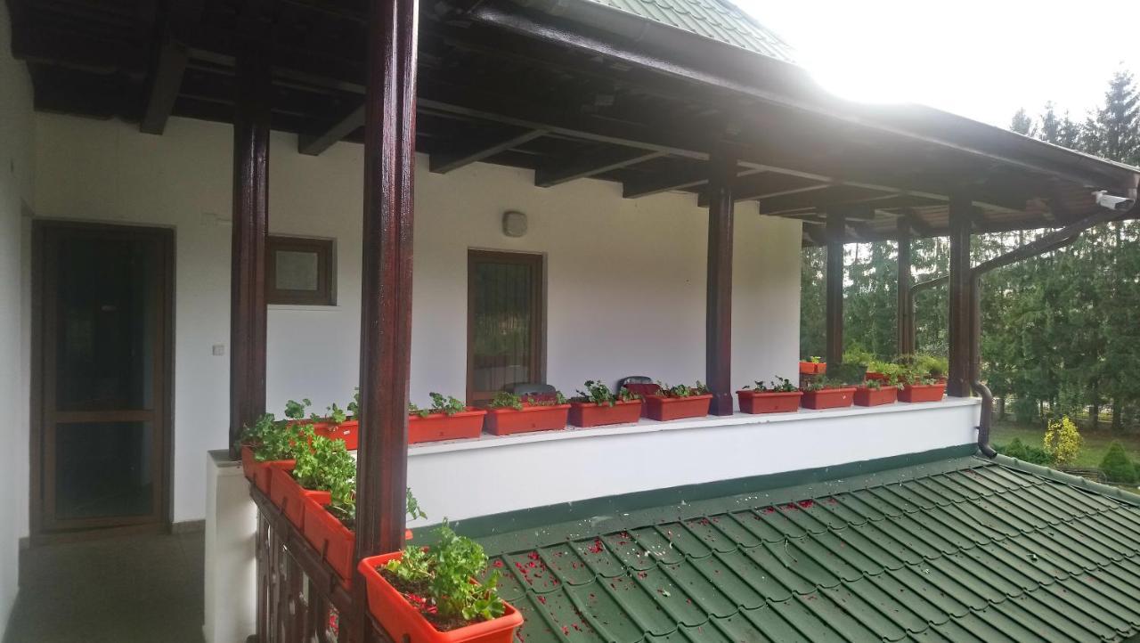 Гостьовий будинок Casa "Ierusalim-Hozeva-Hozeva" Minastirea Neamt Екстер'єр фото